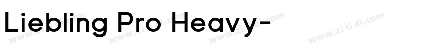 Liebling Pro Heavy字体转换